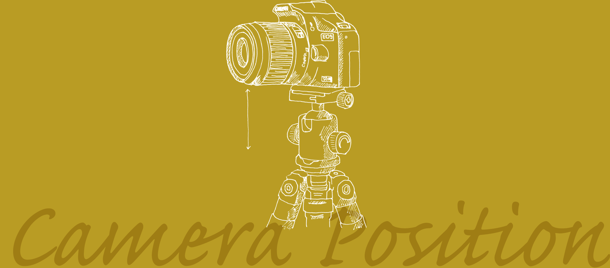 Camera Position