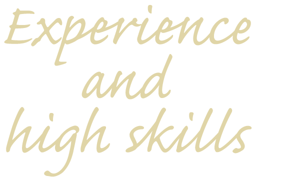 Experience and high skills