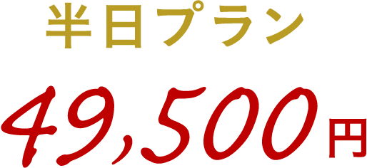 半日プラン4.5万円