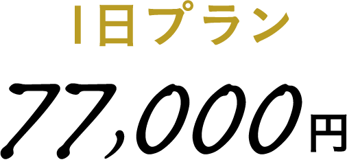 1日プラン 77,000円